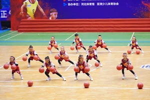  标题：哪里有适合青少年的篮球智能培训项目？全面解析与推荐
