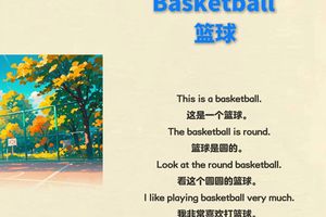 篮球训练英文怎么说呢翻译